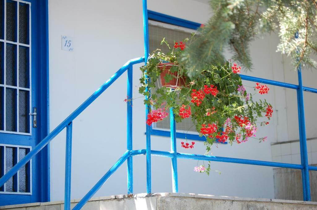 Комплекс Белите Къщи Shtarkelovo Gnezdo Dış mekan fotoğraf