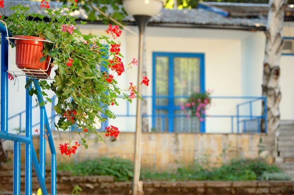Комплекс Белите Къщи Shtarkelovo Gnezdo Dış mekan fotoğraf