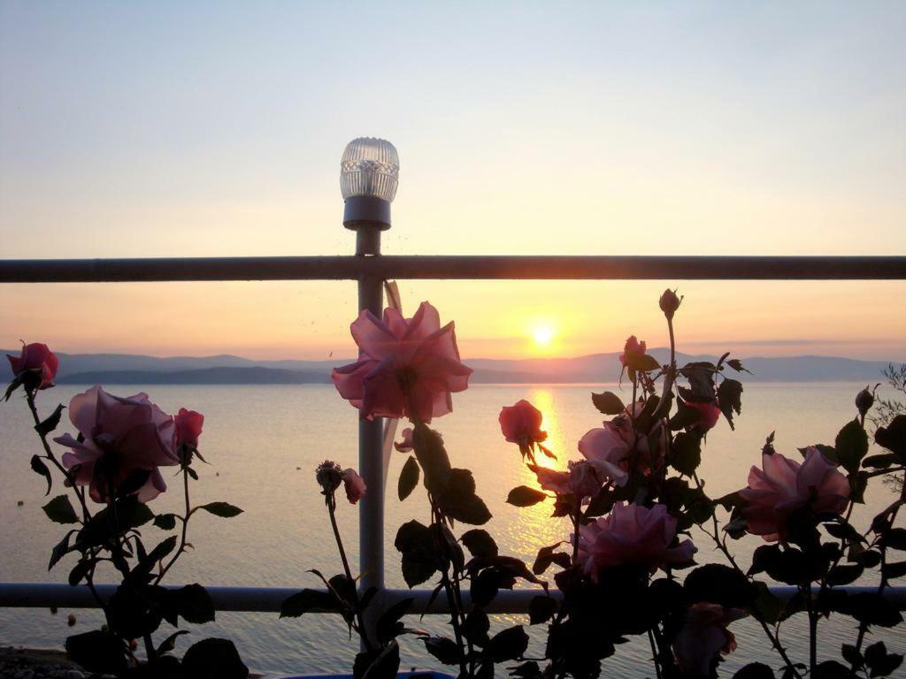 Комплекс Белите Къщи Shtarkelovo Gnezdo Dış mekan fotoğraf