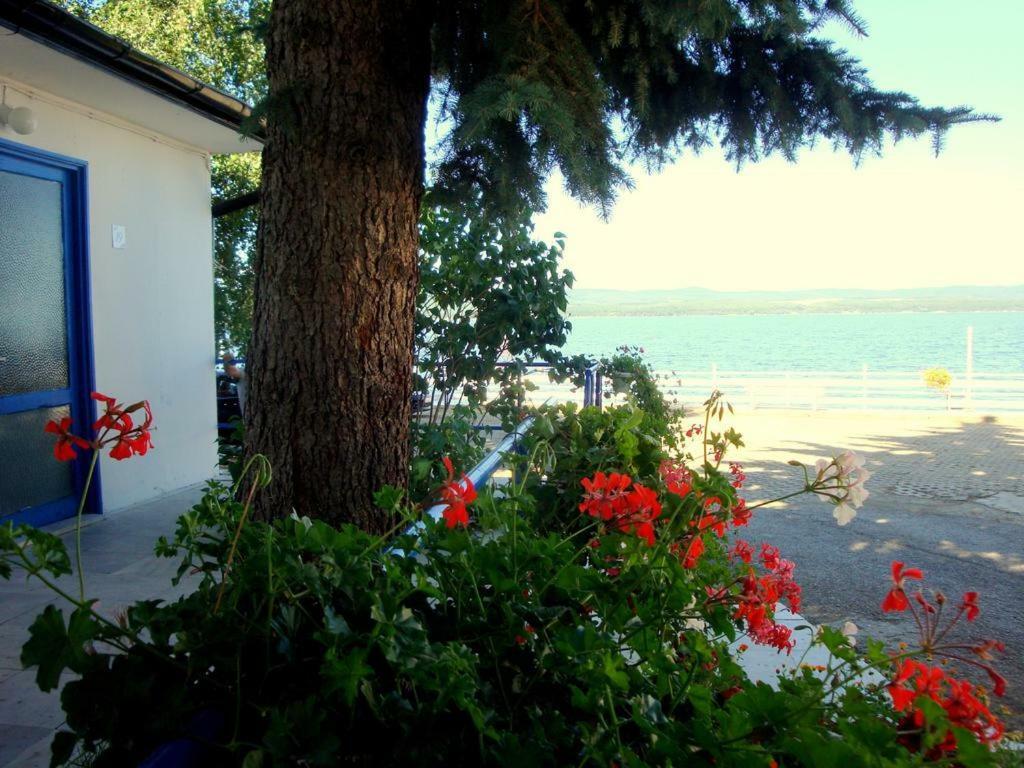 Комплекс Белите Къщи Shtarkelovo Gnezdo Dış mekan fotoğraf