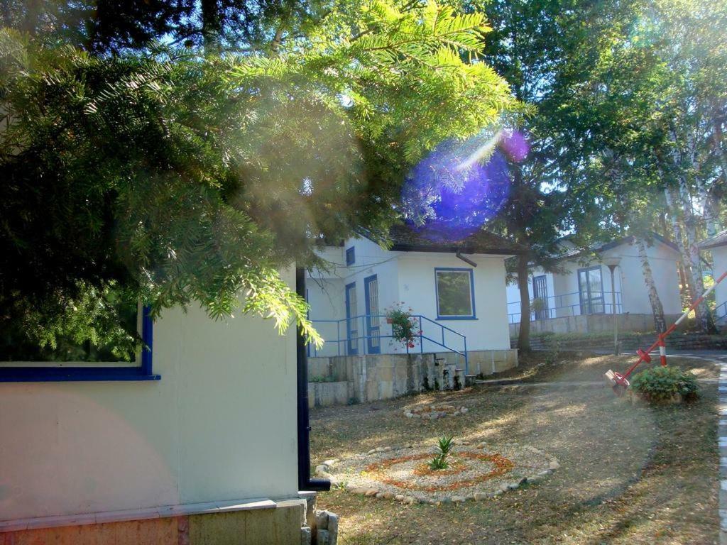 Комплекс Белите Къщи Shtarkelovo Gnezdo Dış mekan fotoğraf