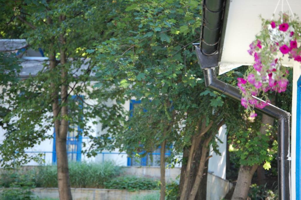 Комплекс Белите Къщи Shtarkelovo Gnezdo Dış mekan fotoğraf